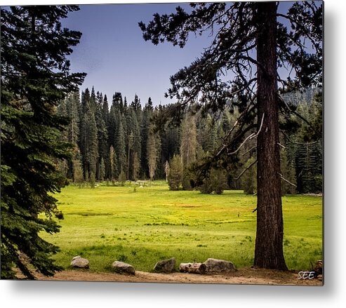 Yosemite Metal Print featuring the photograph May I Intrude on Your Meadow by Susan Eileen Evans
