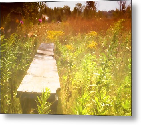 baseball Field Metal Print featuring the photograph Meditation In Sunlight 1 by The Art of Marsha Charlebois