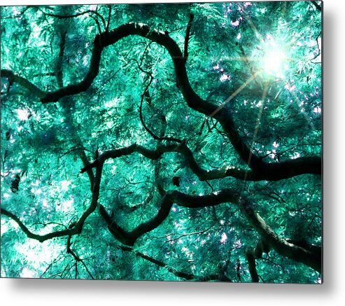 Tree Metal Print featuring the photograph Mighty Branches by Cindy Greenstein