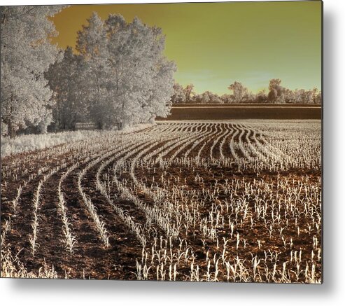 Corn Metal Print featuring the photograph Missouri Corn Field by Jane Linders