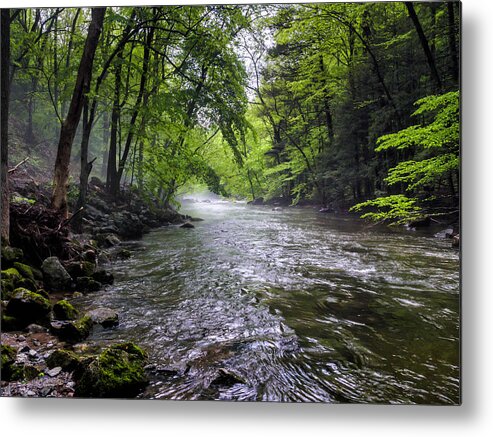 Ken Lockwood Gorge Metal Print featuring the photograph Mist on the River of Life by Louis Dallara