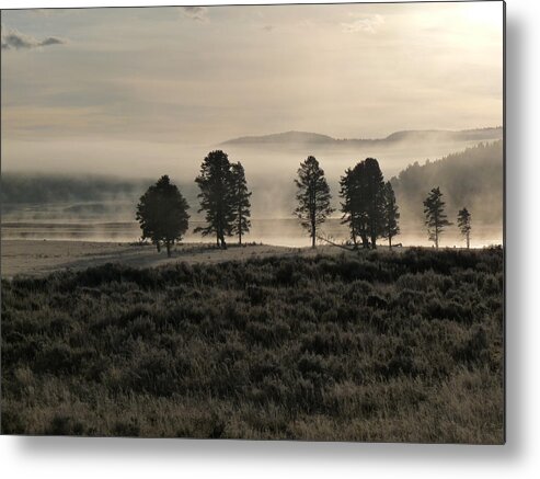 Misty Metal Print featuring the photograph Misty Hayden Valley by Tranquil Light Photography