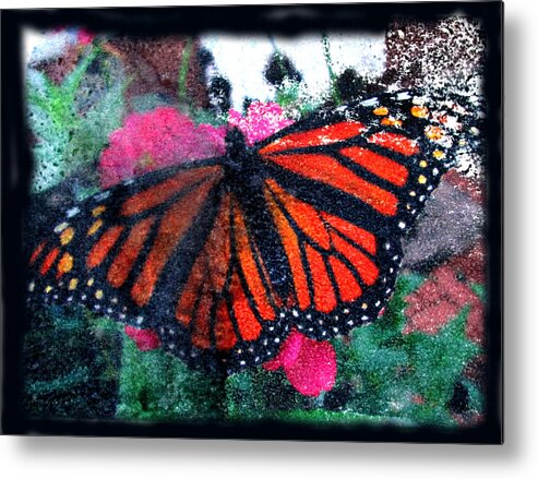 Monarch Metal Print featuring the mixed media Mnarch Butterfly by Monte Landis