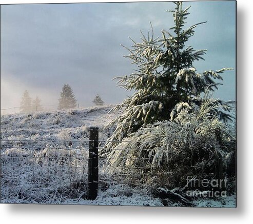 Landscape Metal Print featuring the photograph Moment of Peace by Rory Siegel