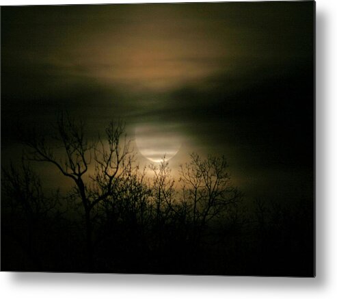 Moon Metal Print featuring the photograph Moon Over Prince George by Karen Harrison Brown