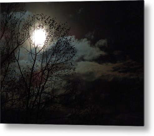 Moon Metal Print featuring the photograph Moon Rise by Pete Trenholm