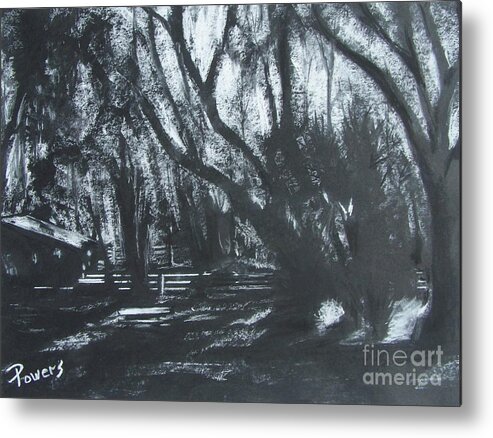 Landscape Of A Florida Farm In The Moonlight Metal Print featuring the drawing Moonshine by Mary Lynne Powers