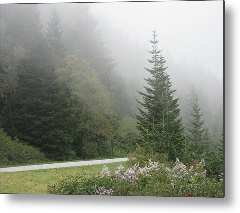 Kathy Long Metal Print featuring the photograph Morning Mist by Kathy Long