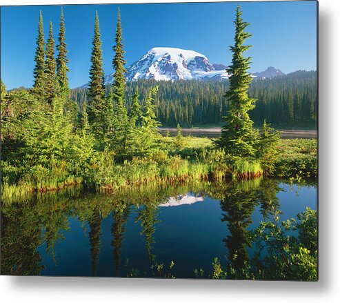 Water's Edge Metal Print featuring the photograph Mount Rainier National Park by Ron thomas