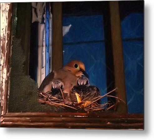 Bird Metal Print featuring the digital art Mourning Dove With Chicks by Flees Photos