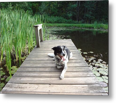 Dock Metal Print featuring the photograph Mundee on the dock by Michael Porchik