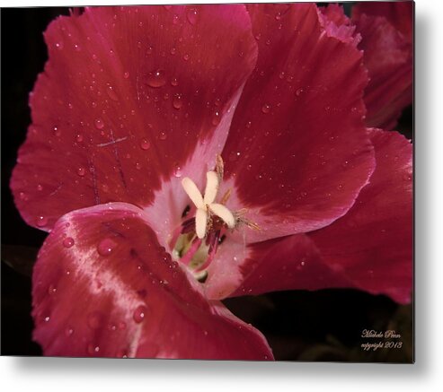 Red Metal Print featuring the photograph My Beauty by Michele Penn