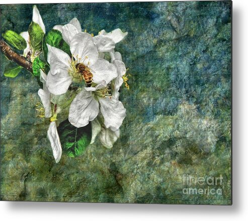 Bee Metal Print featuring the photograph Natural High by Andrea Kollo