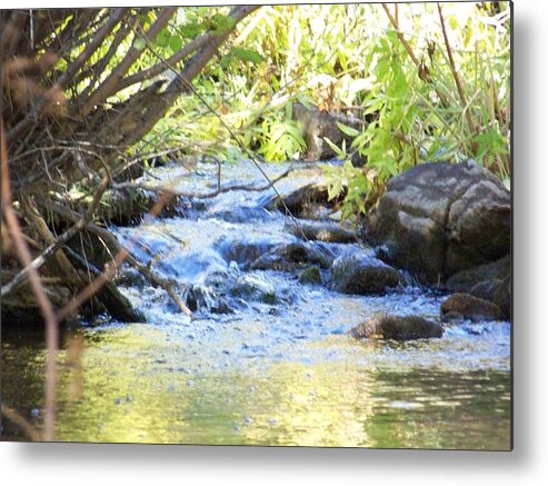 Landscape Metal Print featuring the photograph Nature's Beauty by Sheri Keith