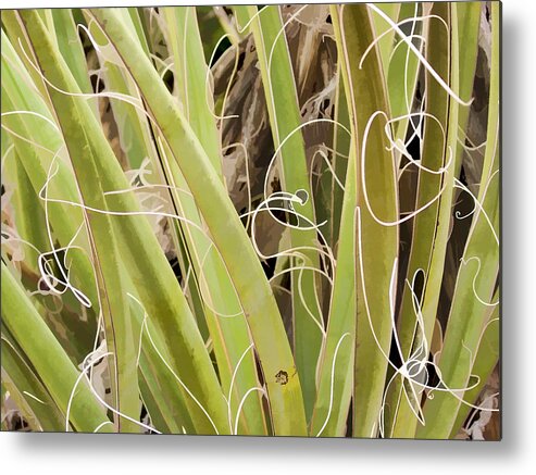 Agave Metal Print featuring the photograph Needing a haircut by Scott Campbell