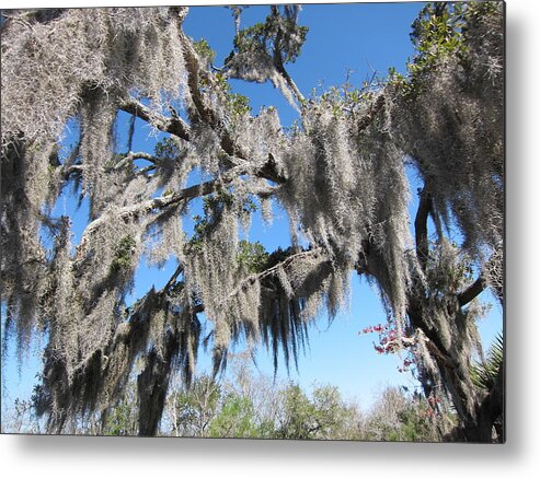 New Metal Print featuring the photograph New Orleans - Swamp Boat Ride - 121238 by DC Photographer
