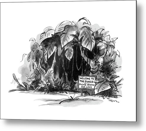 (entrance To The Jungle With A Sign For Tourists That Reads 'welcome To The Jungle - Please Observe Our Laws.') 
Nature Metal Print featuring the drawing New Yorker May 28th, 1979 by Lee Lorenz