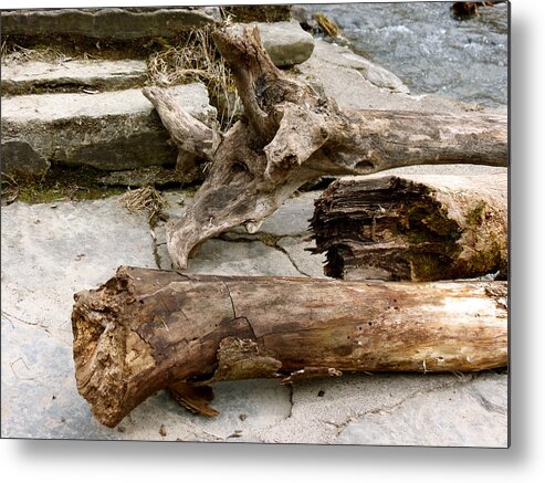 Log Metal Print featuring the photograph No Longer Adrift by Azthet Photography