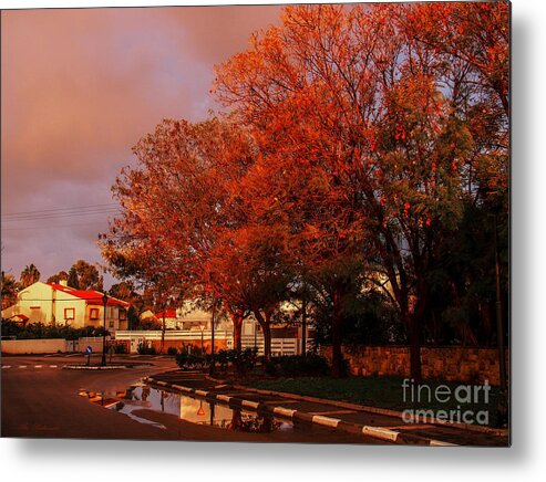 Joy Metal Print featuring the photograph Now that's a good morning by Arik Baltinester