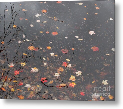 October Song Metal Print featuring the photograph October Song 2 by Gregory Arnett