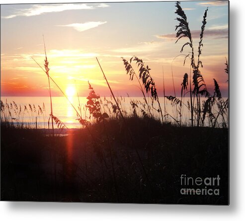 Aquatic Metal Print featuring the photograph Orb of Day by Megan Dirsa-DuBois