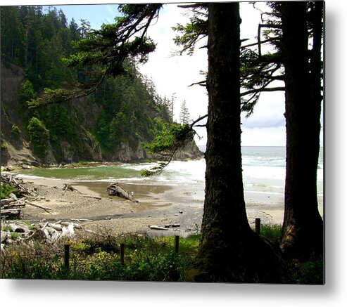 Old Growth Metal Print featuring the photograph Oswald West 2 by Laureen Murtha Menzl