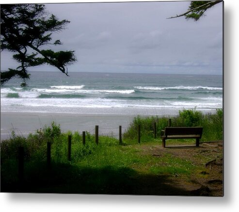 Park Bench Metal Print featuring the photograph Oswald West 3 by Laureen Murtha Menzl