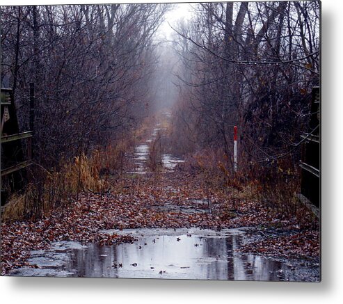 Bridge Metal Print featuring the photograph Otherworldly by Wild Thing