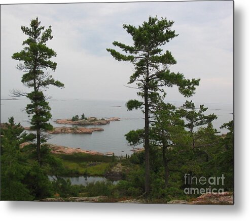 Trees Metal Print featuring the photograph Overlooking Georgian Bay by Nina Silver