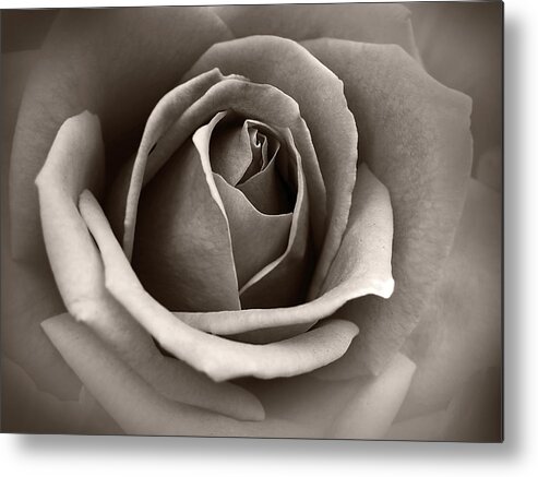 Flower Metal Print featuring the photograph Passion by Eena Bo