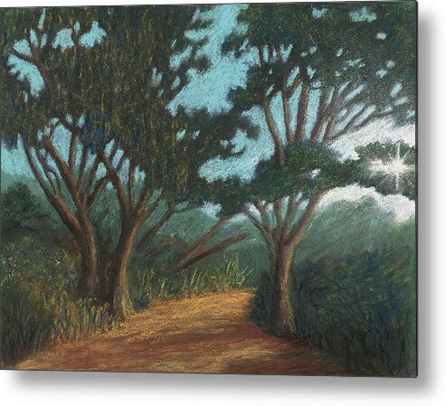 Path Metal Print featuring the pastel Path By Lake Murray 01 by Michael Heikkinen