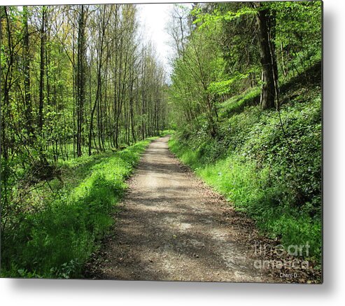 Path Metal Print featuring the photograph Path in Luxembourg by Chani Demuijlder