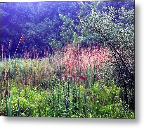 Meadow Metal Print featuring the photograph Peace Offering by Dani McEvoy