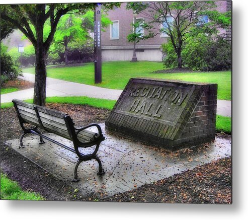 Peace Metal Print featuring the photograph Peace Time by Luis A Vera