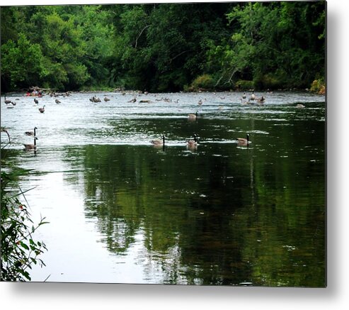 Watauga River Metal Print featuring the photograph Peaceful Afternoon Gathering by Cynthia Clark