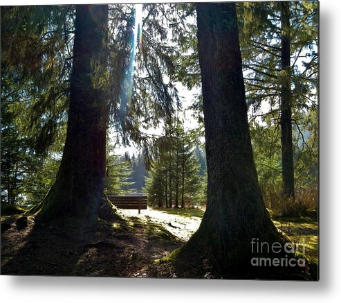 Forest Metal Print featuring the photograph Peaceful Setting by Laura Wong-Rose