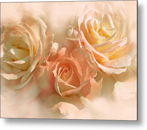 Rose Metal Print featuring the photograph Peach Roses in the Mist by Jennie Marie Schell