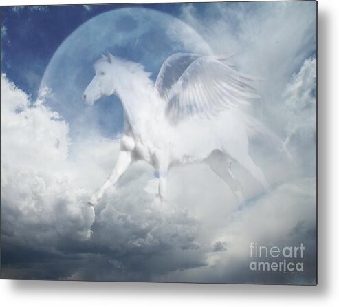 Pegasus Metal Print featuring the photograph Pegasus by Stephanie Laird