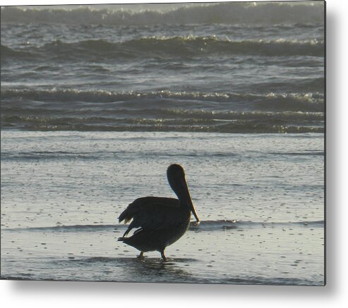 Seashore Metal Print featuring the photograph Pelican Silhouette by Deborah Ferree