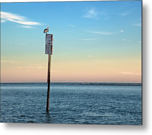 Tybee Island Sunset Metal Print featuring the photograph Pelican Sunset by Steven Michael