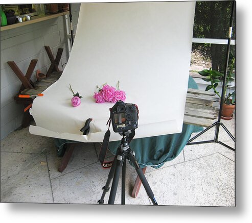 Peonies Metal Print featuring the photograph Peonies and tripod by Rich Franco