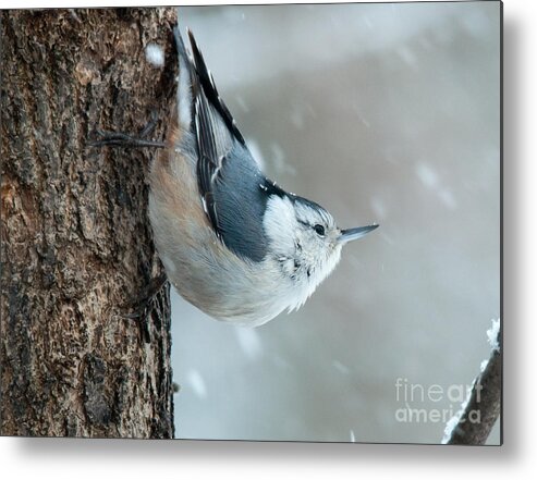 Landscapes Metal Print featuring the photograph Perspective by Cheryl Baxter