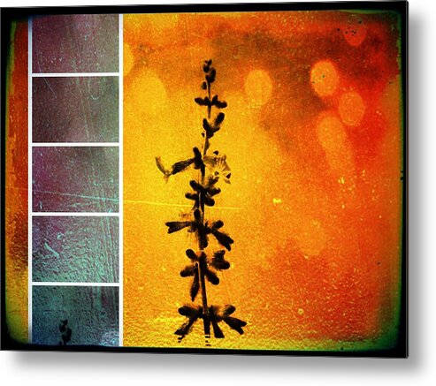 Floral Flowerl Metal Print featuring the photograph Pervoskia Collage Aflame by Christina Shaskus