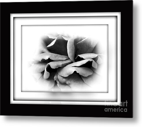 Photography Metal Print featuring the photograph Petals and Shadows 2 by Kaye Menner