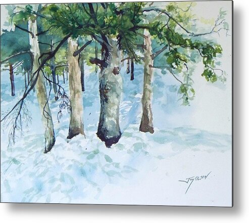 Watercolor Metal Print featuring the painting Pine trees and snow by Joy Nichols