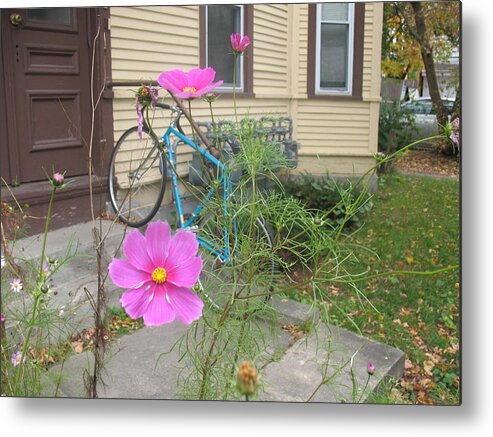 Flower Metal Print featuring the photograph Pink Flower Blue Bike by Alan Chandler
