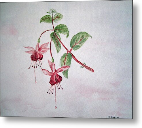 Floral Metal Print featuring the painting Pink Fuchsia's by Elvira Ingram