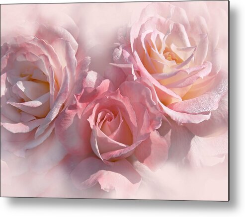 Rose Metal Print featuring the photograph Pink Roses in the Mist by Jennie Marie Schell