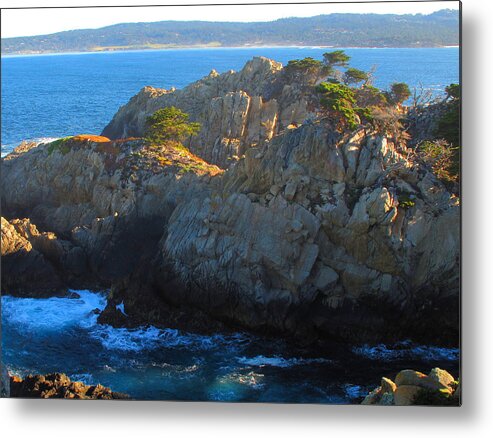 Point Lobos Metal Print featuring the photograph Point Lobos Number 9 by Derek Dean