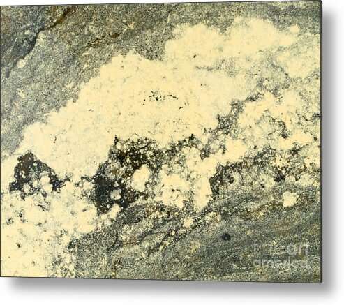 Abstract Metal Print featuring the photograph Pollen of Black Spruce Trees on Water Surface by Stephan Pietzko